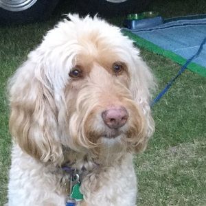 Meet your Posher, Kathy